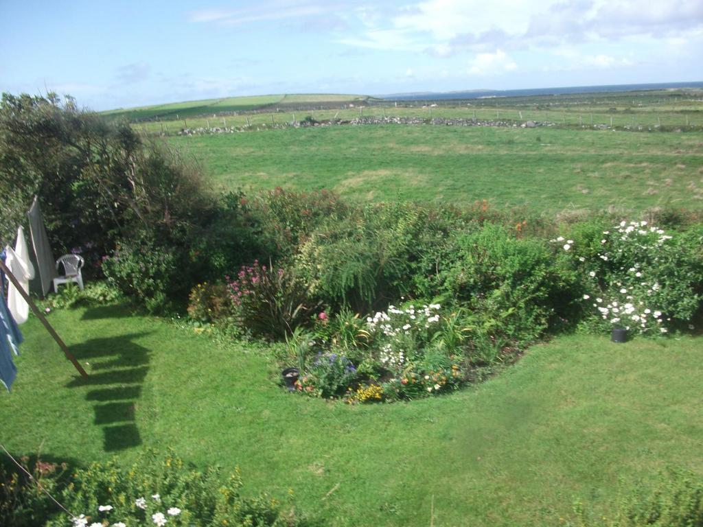 Fuchsia House Bed And Breakfast Connemara Renvyle Eksteriør bilde